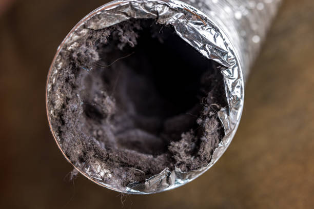 Best Affordable HVAC Duct Cleaning  in Belton, MO